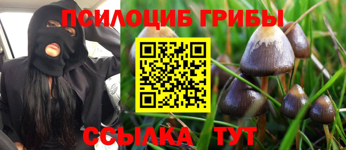 Псилоцибиновые грибы прущие грибы Балабаново