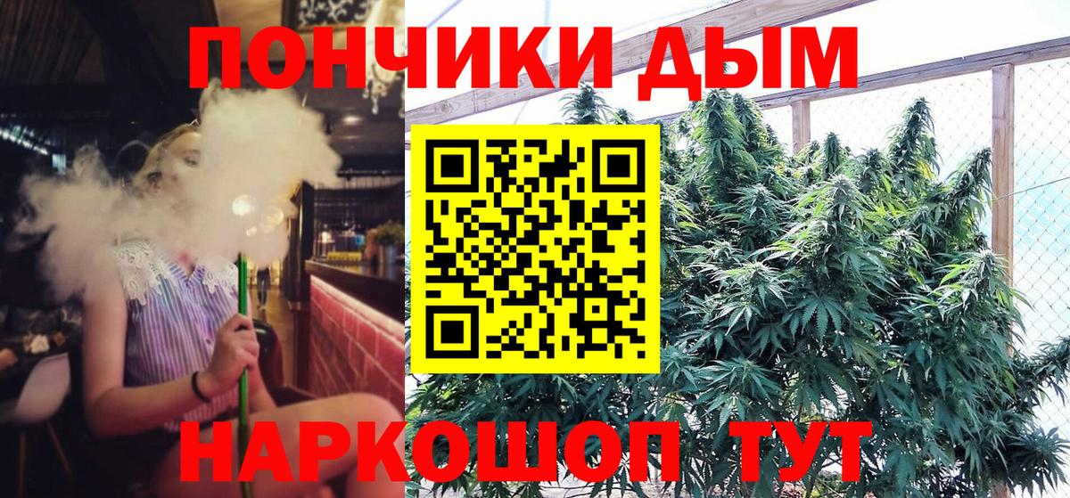 Бошки марихуана Amnesia  Вход с VPN  МАРИХУАНА тримм  Балабаново  Конопля план 